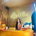 MẦU SPA - LINGAM MASSAGE FOR MEN: Không Gian Sang Trọng & Nghệ Thuật Thư Giãn Mới Lạ Tại Hà Nội