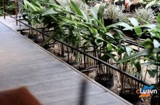 KHÔNG GIAN CÀ PHÊ "THUẦN NHẬT" TẠI SÀI GÒN - LÝ TƯỞNG CHO TEAM WORKAHOLIC VÀ SỐNG ẢO!