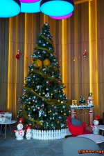 IBIS SAIGON AIRPORT: SỰ LỰA CHỌN THUẬN TIỆN VÀ CHẤT LƯỢNG KẾT NỐI SÂN BAY