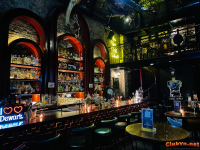 The Old Well Tiki Bar – Một Góc Nhiệt Đới Giữa Trung Tâm Hà Nội