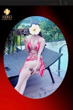 Em 110 Neko ổn áp và chu đáo