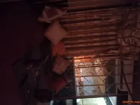 Này thì số 10 số hot Dubai GV.Công nghiệp bướm khắm