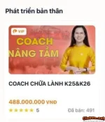 Xin tư vấn của 500 ae!!