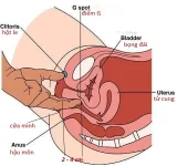 Điểm G nằm ở đâu? Làm sao tìm được nó?