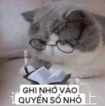 1784797691174.webp