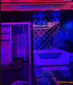 IMG_20260725_0732802343.webp