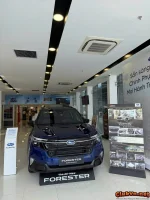 Có nên chốt Forester 2.5L hay chờ hybrid?