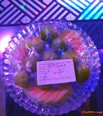 20260816_130104.webp