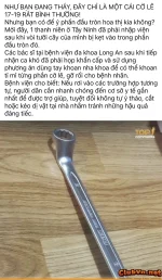 Khi Hoạ mi kẹt vào Cờ lê..