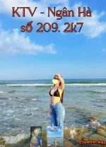 209nh.webp