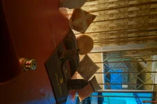DSC_0010.webp