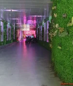 20261021_142422.webp
